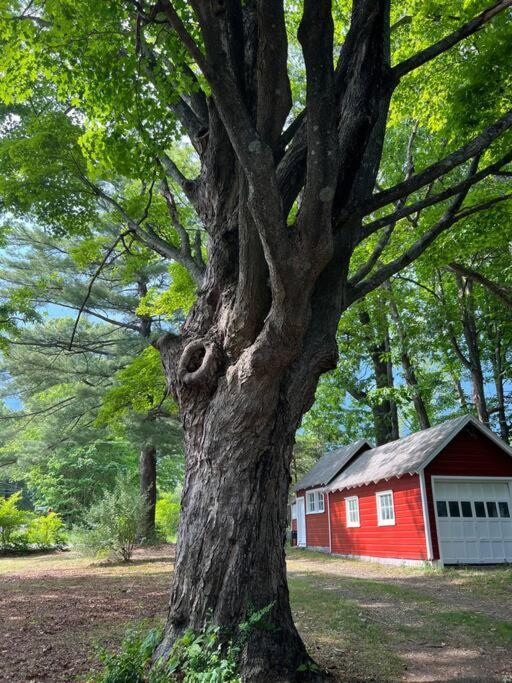 Schoolhouse No. 11 * Hudson Valley Upstate Getaway Stone Ridge Buitenkant foto